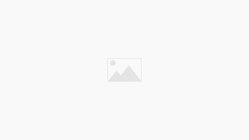 Construction Machinery Dealers